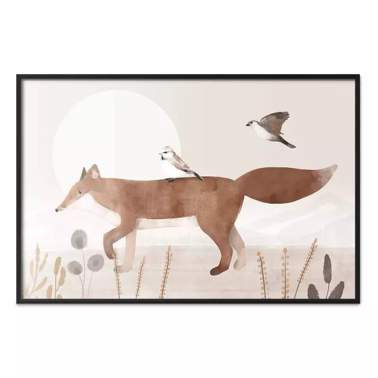 Volpe e uccelli erranti - animali notte