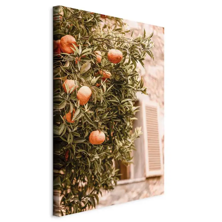 Frutti urbani - albero di mandarino su sfondo di edificio