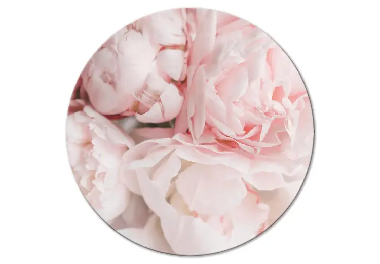 Peonie rosa chiaro - un bouquet di fiori in colori pastello