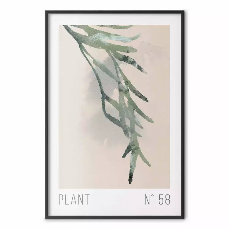 Pianta numero 58