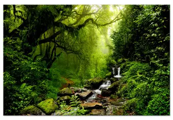 Puzzle 1000 Pezzi Autunno Cascata: Paesaggio Foresta Con Orso, 70x50 Cm