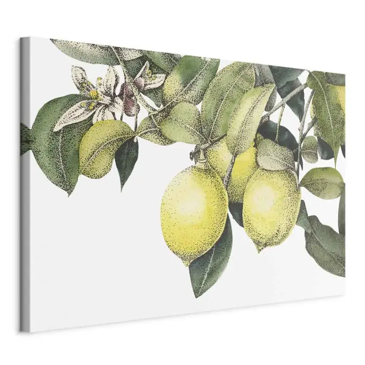 Limoni e foglie - frutti di agrumi colorati su un albero