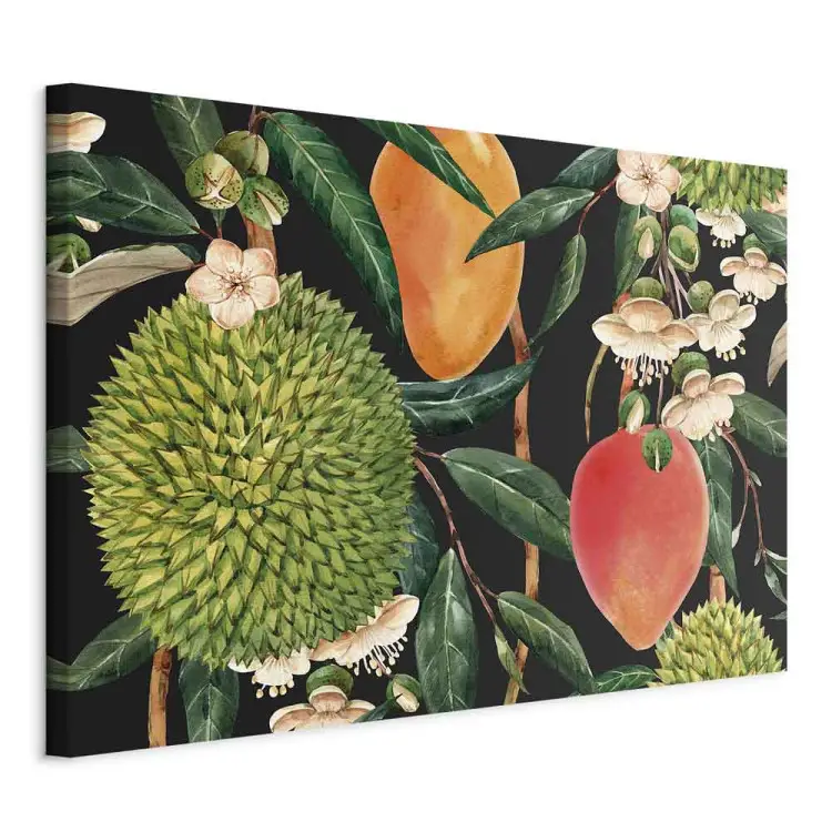 Frutti esotici - piante tropicali su sfondo nero