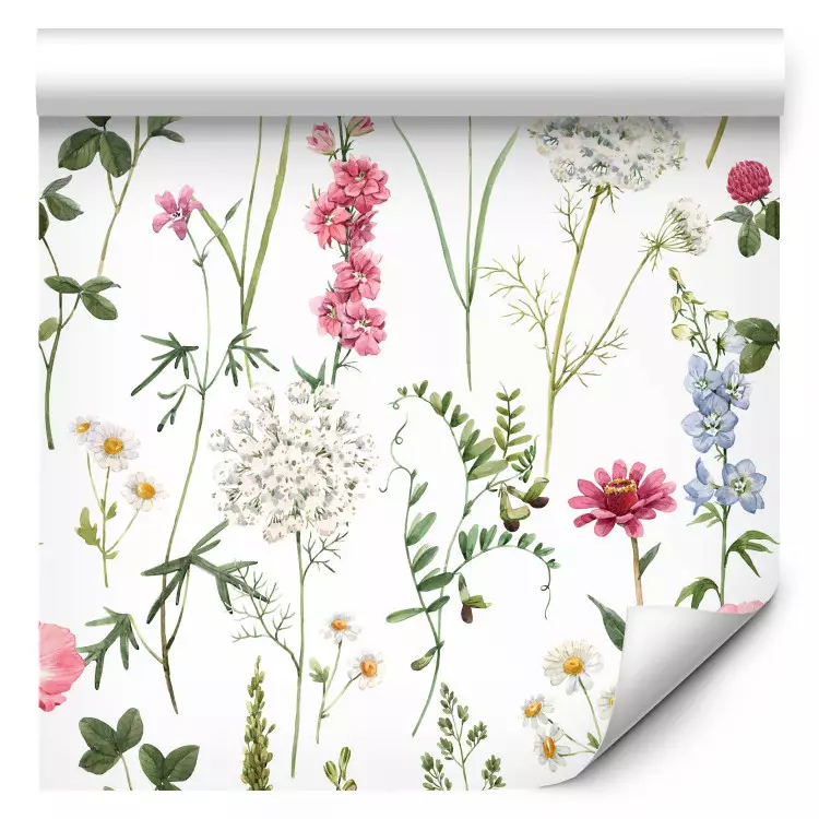 Prato multicolore - fiori colorati ad acquerello su sfondo bianco