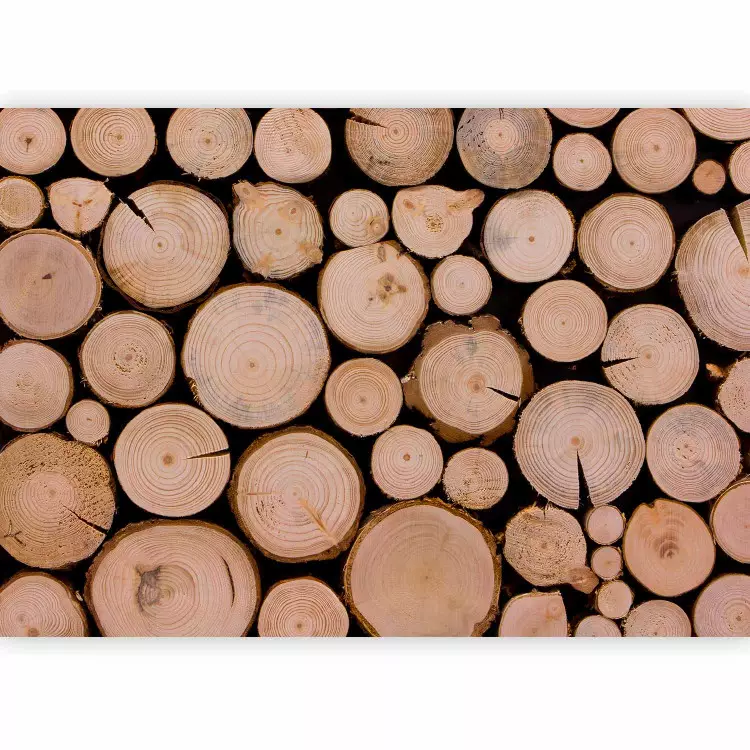 Legno fresco - catasta di legno con anelli visibili