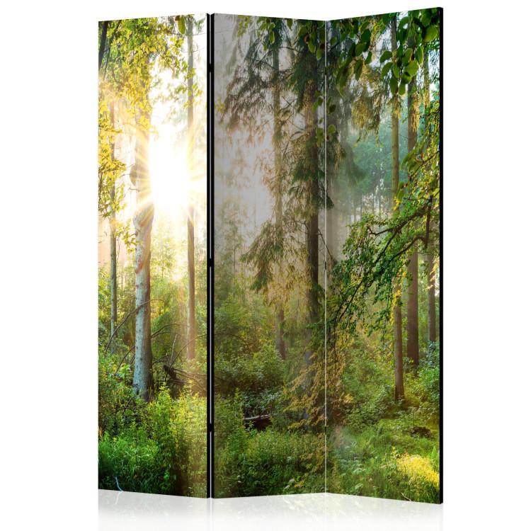 Paravento Untamed Nature [Room Dividers]