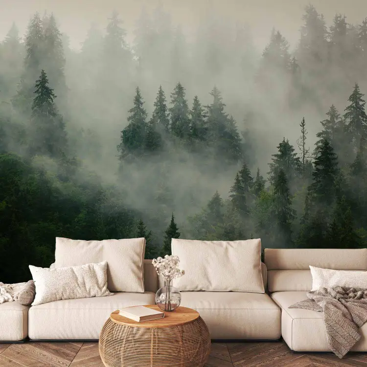 Foresta di conifere - paesaggio montano con alberi immersi nella nebbia
