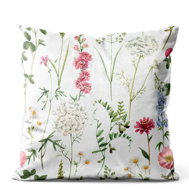 Piante del prato - composizione colorata con flora senza pretese