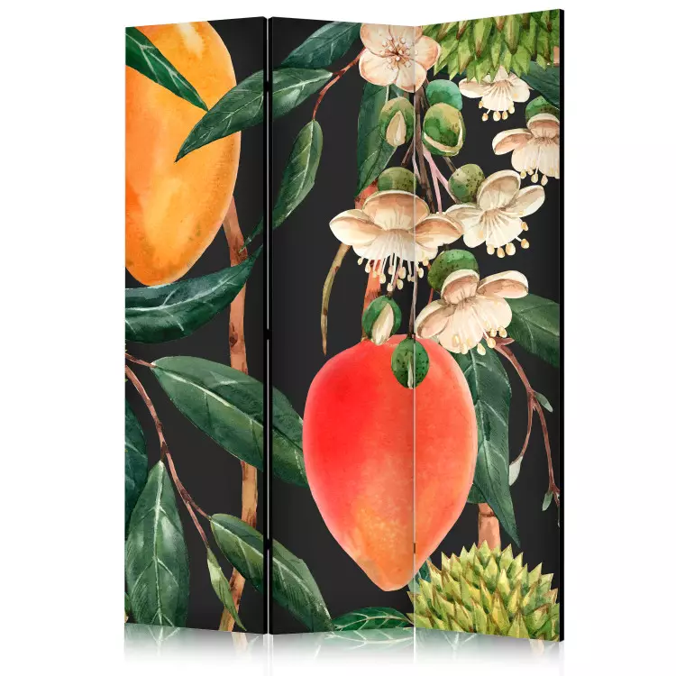 Frutti esotici - vegetazione tropicale colorata