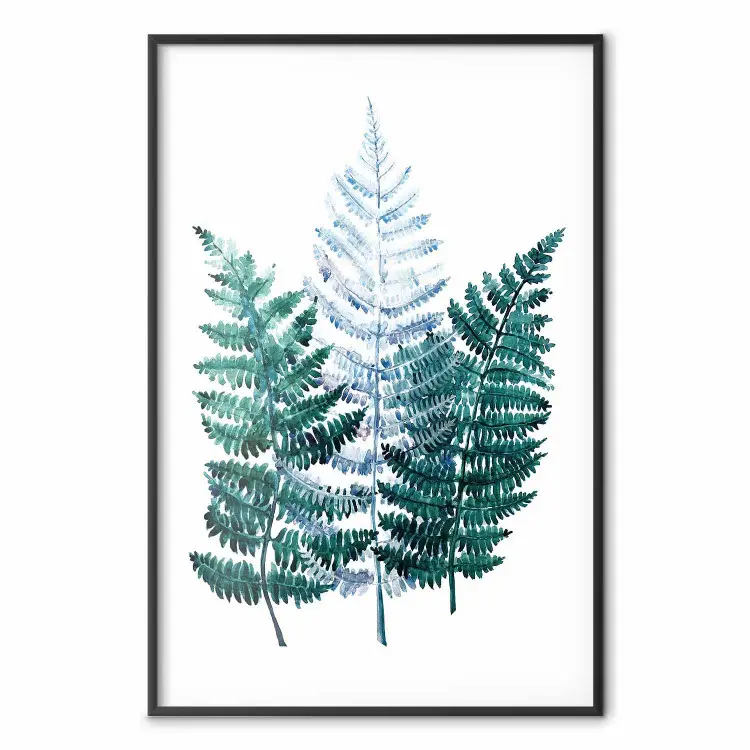 Felce della foresta - delicati acquerelli che raffigurano una pianta