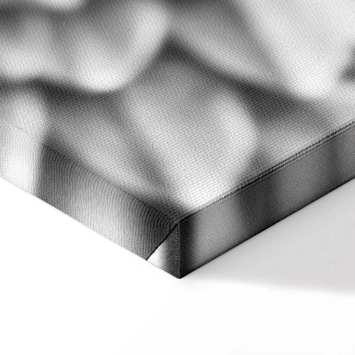 testa di serpente in bianco e nero