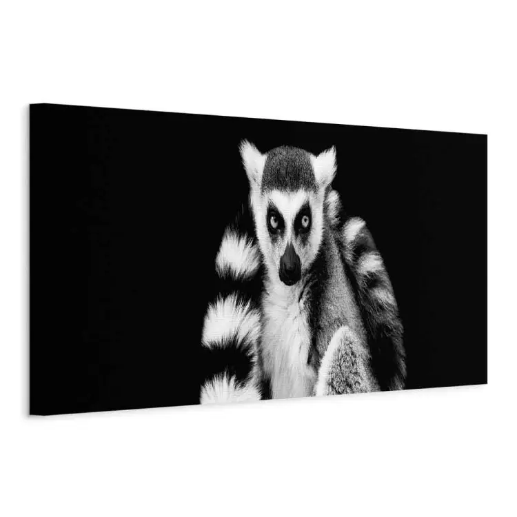 BIEMBI Limone Nel Cervello Di Scimmia Divertente Pittura Su Tela Wall Art Stampe E Poster Modern Home Decorare Immagini Per Soggiorno 50x70cm senza cornice
