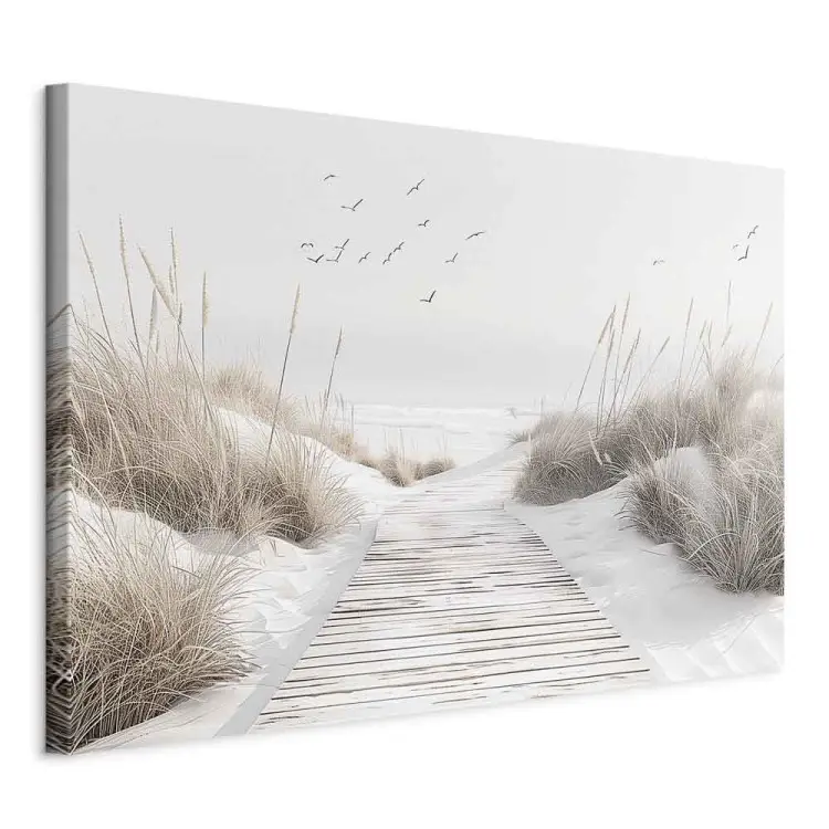 Bellezza della natura - sentiero di legno tra le dune e le erbe costiere