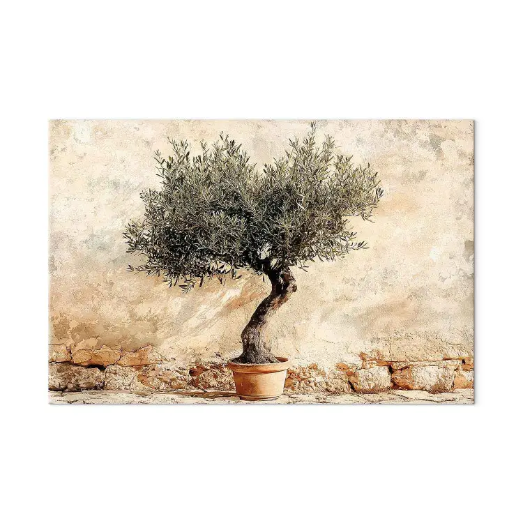 Clima mediterraneo - ulivo su sfondo beige