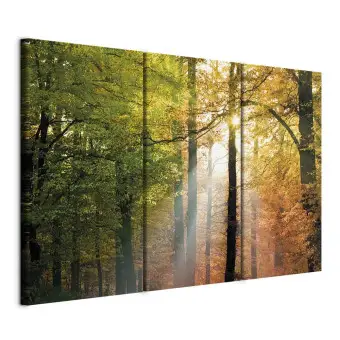 Kunstloft Quadro Su Tela Dipinto A Mano 150x100cm – 'Rugiada Mattutina In Un Bosco Di Betulle', Foresta Con Riflessi Oro, Arte Moderna