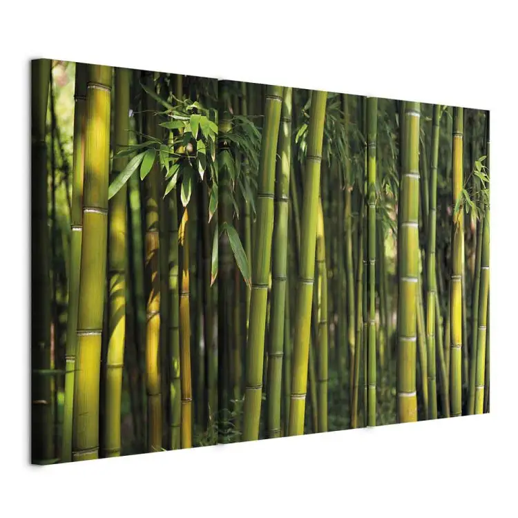 Bambu' e il verde
