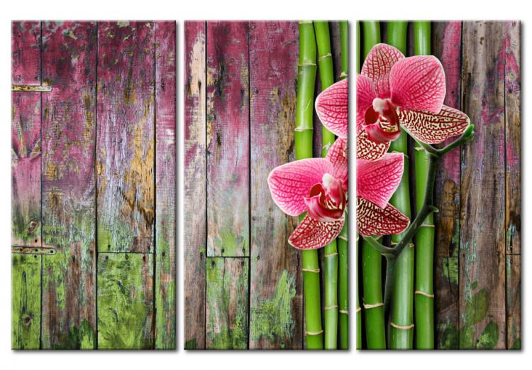 Decorazioni in bambù per il soggiorno o la camera da letto – Blog di  arredamento bimago