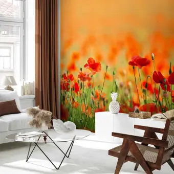 Boji Adesivi Murali Con Girasoli E Farfalle – 27 Pezzi Rimovibili E Impermeabili In PVC Per Decorazione Camere E Soggiorno