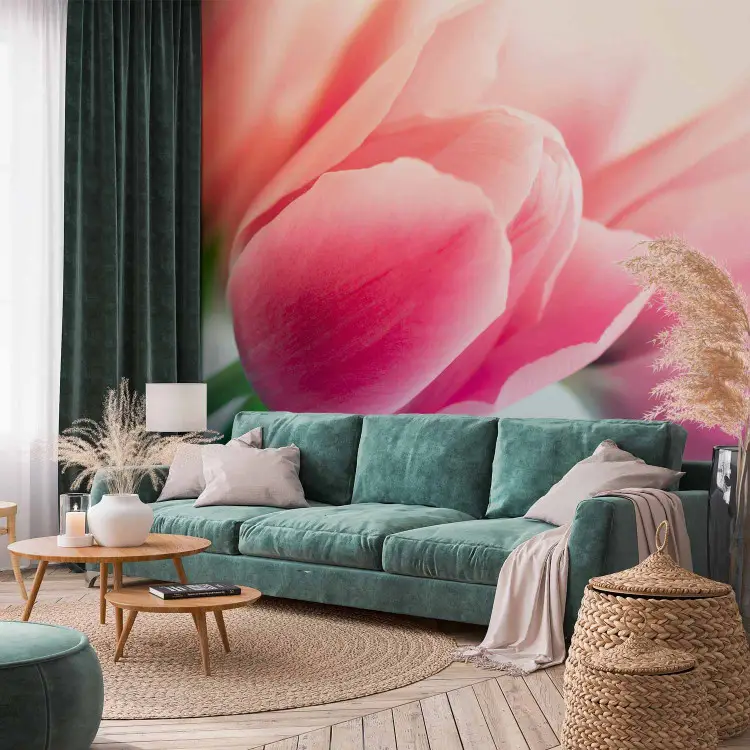 Foto Poster Wall Art Decor 50x70cm Tulipani colorati nel prato No. H863