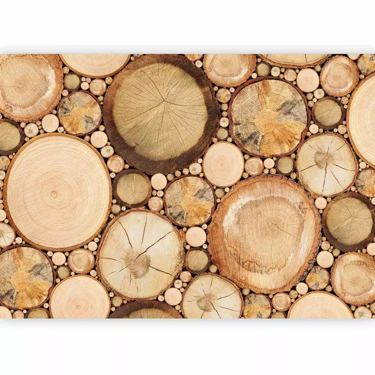 Venatura del legno