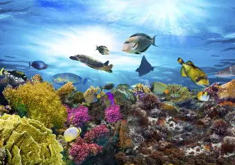 Stampa artistica da parete con oceano tropicale, decorazione per il bagno con pesci colorati barriera corallina, immagine su tela con acquari tropicali, scenari con linea di galleggiamento, stampe