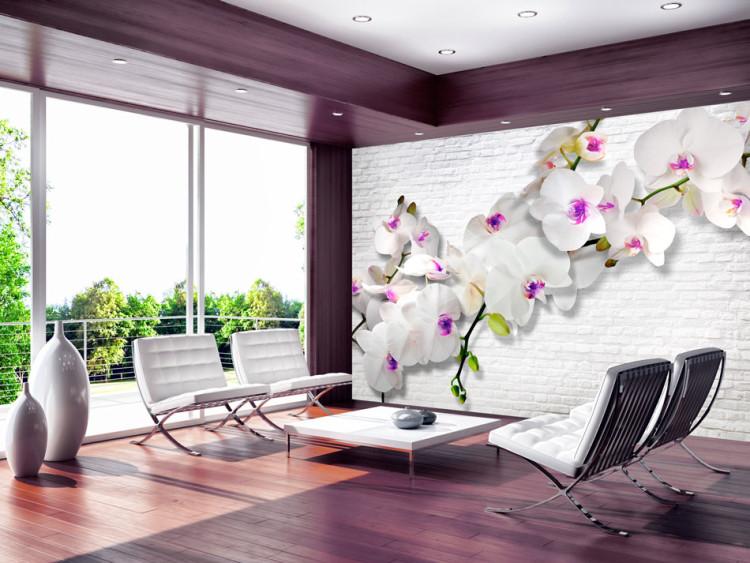 Carta da parati Muro e natura - fiore di orchidea su sfondo di muro bianco in mattoni
