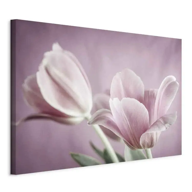 Romantici tulipani