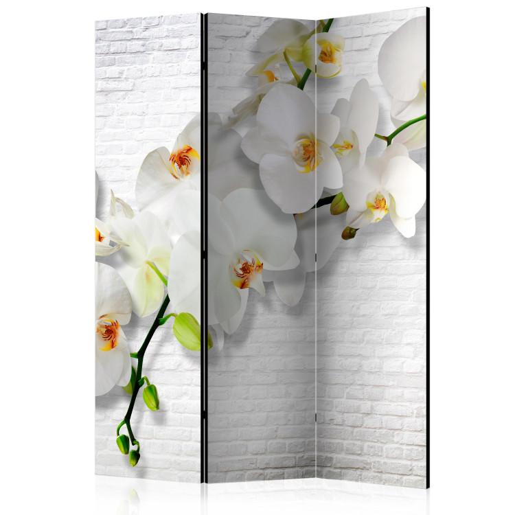 Paravento The Urban Orchid [Room Dividers]