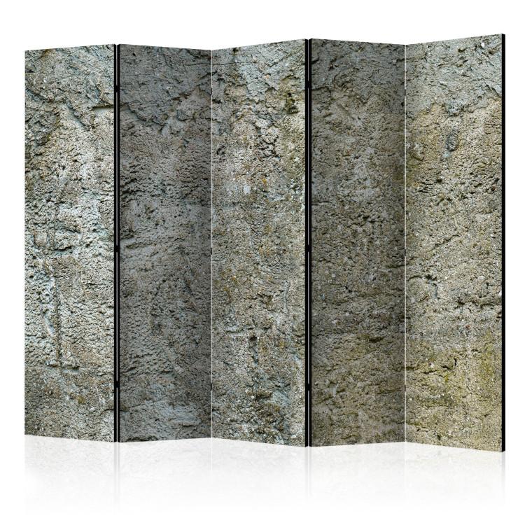 Paravento Stony Barriere II [Room Dividers]