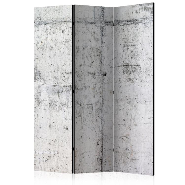 Paravento Concrete Wall [Room Dividers]