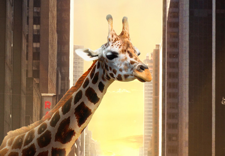 Quadro Giraffa in una grande città