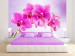 Carta da parati Riflessione - fiori di orchidea rosa su sfondo viola chiaro 60320