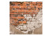 Carta da parati Vecchi Muri - Sfondo a motivo di mattoni arancioni e resti di parete 60940 additionalThumb 1