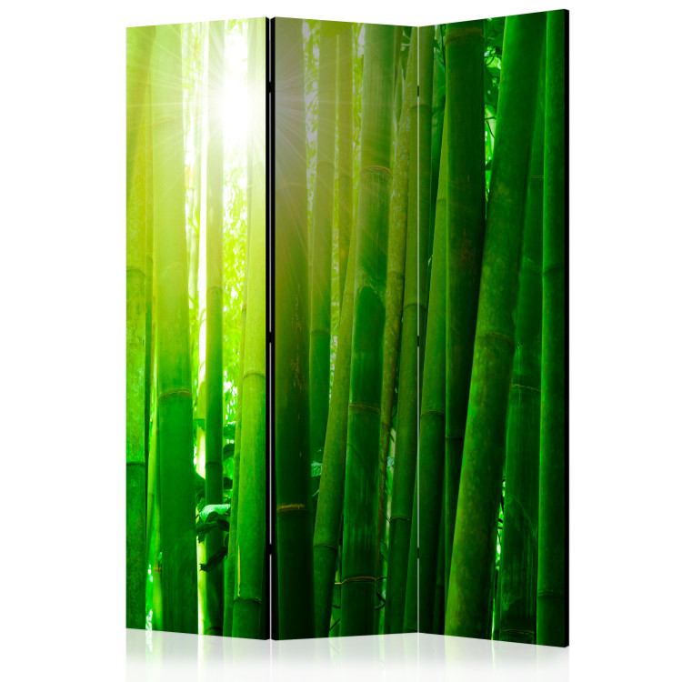 Paravento design Sun and bamboo [Room Dividers] 133250