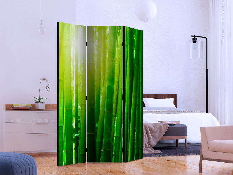 Paravento design Sun and bamboo [Room Dividers] 133250 additionalImage 2