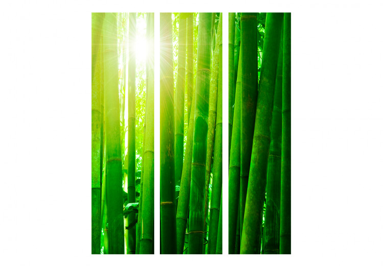 Paravento design Sun and bamboo [Room Dividers] 133250 additionalImage 3
