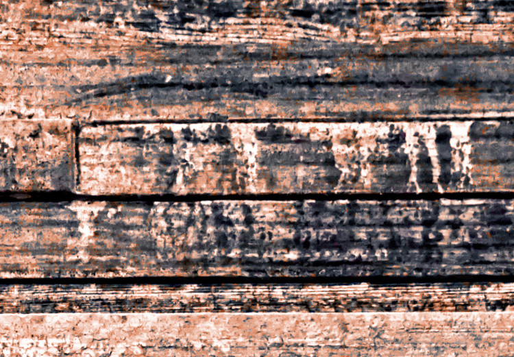 Carta da parati Assi bruciati - sfondo con texture di vecchio legno 105160 additionalImage 4