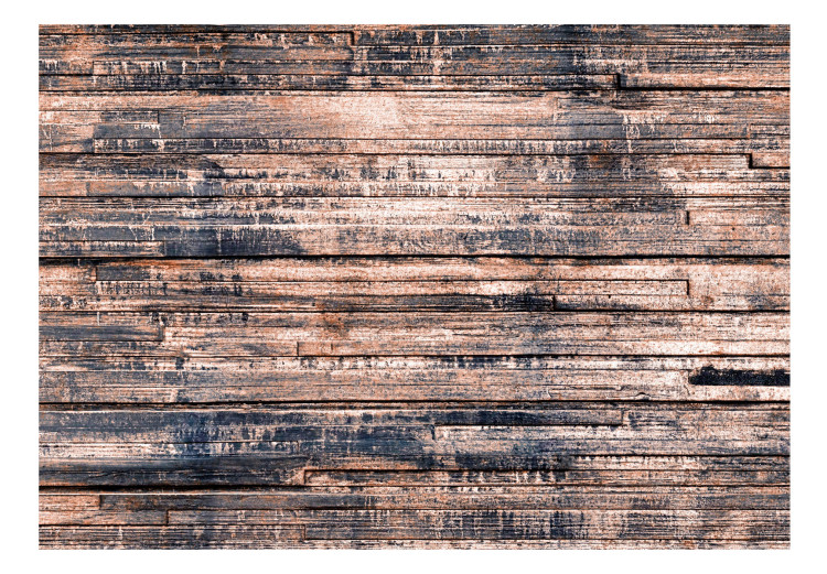 Carta da parati Assi bruciati - sfondo con texture di vecchio legno 105160 additionalImage 1