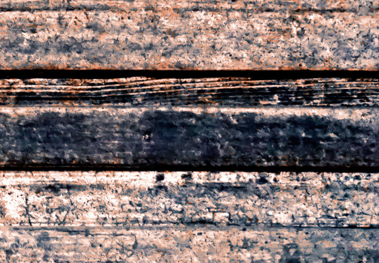 Carta da parati Assi bruciati - sfondo con texture di vecchio legno 105160 additionalImage 3