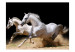Carta da parati Galoppo di stalloni - cavalli bianchi che corrono sulla sabbia 61260 additionalThumb 1