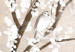 Carta da parati moderna Alberi con fiori bianchi - uccelli su rami su sfondo beige 144580 additionalThumb 3