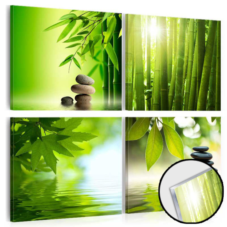 Quadro su vetro acrilico Green Zen [Glass] 92801