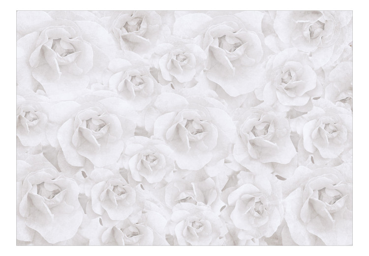 Carta da parati moderna Bellezza della natura - composizione con fiori bianchi rosa freddo 143821 additionalImage 1