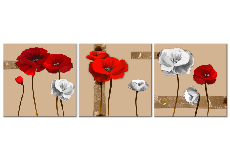 Quadro Papaveri bianchi e rossi - un trittico con fiori su uno sfondo  marrone - Papaveri - Fiori - Quadri