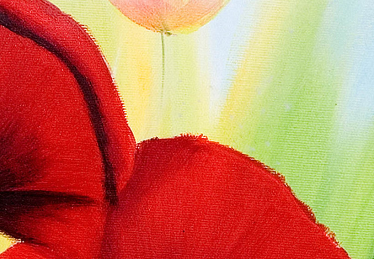Quadro su tela Papaveri rossi (1 parte) - motivo floreale colorato con erba verde 47061 additionalImage 3