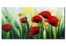 Quadro su tela Papaveri rossi (1 parte) - motivo floreale colorato con erba verde 47061