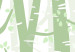 Carta da parati moderna Bosco pastello - betulle verdi con foglie chiare sui rami 145112 additionalThumb 8