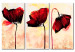 Quadro contemporaneo Tre fiori rossi (3 pezzi) - Papaveri su sfondo con delicato colore 48512