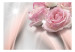 Carta da parati Delicatezza - rose su sfondo con effetto di splendore solare 90022 additionalThumb 1