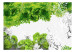 Carta da parati Colori di Primavera Verde - Natura con piante e farfalle 60742 additionalThumb 1